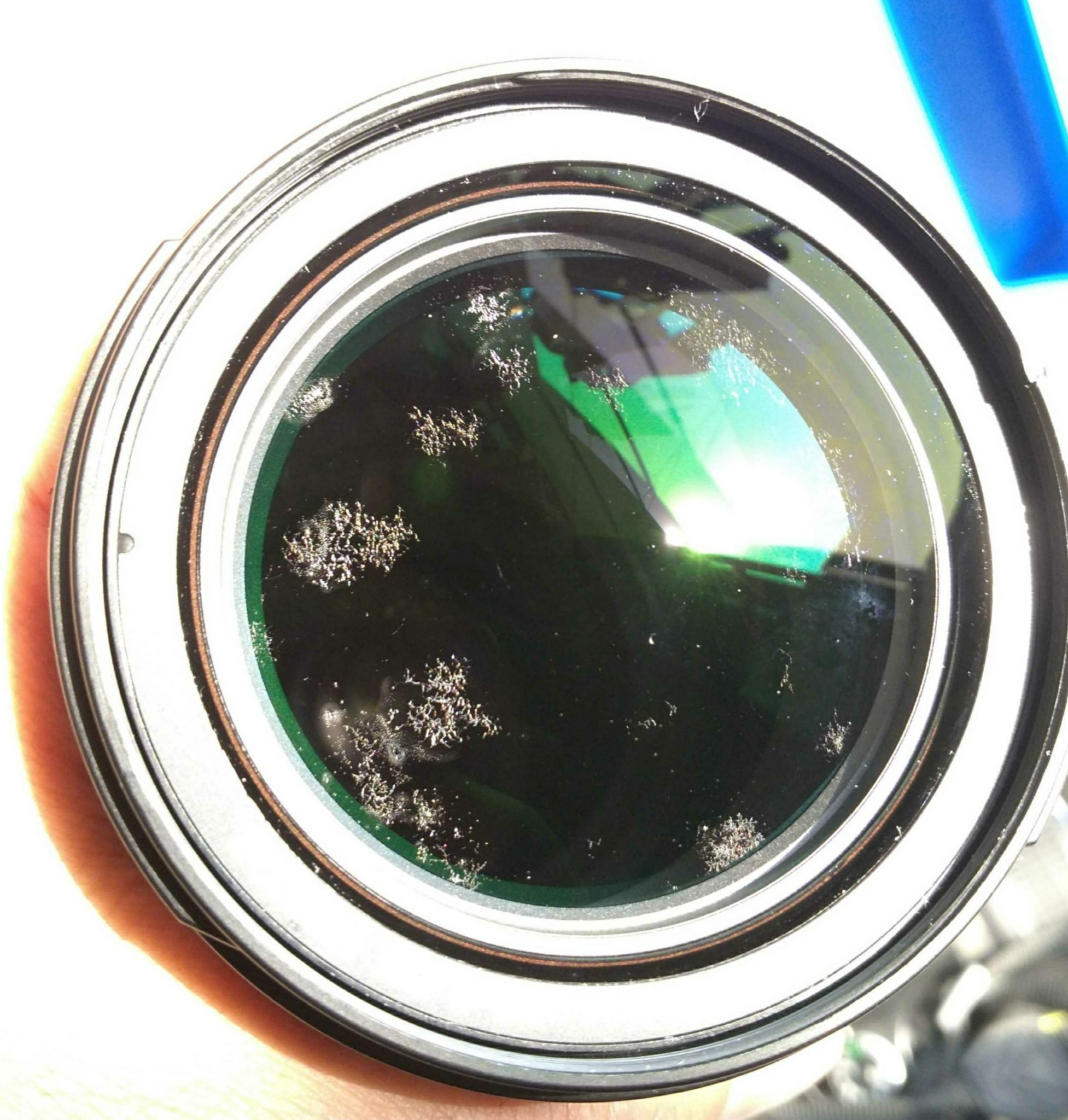 是時候給你的鏡頭配備個鏡頭防潮柜了(圖3) 鏡頭發(fā)霉